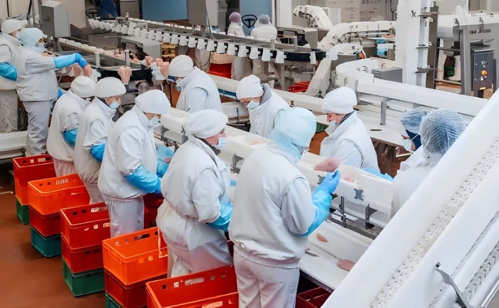 Industrial food production facility